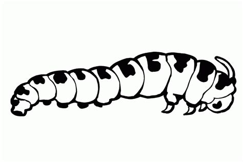 coloring pages   caterpillar caterpillar coloring pages