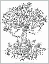 Coloring Tree Pages Life Olive Roots Drawing Adult Printable Pecan Simple Adults Coloringgarden Trunk Color Mandala Drawings Celtic Template Book sketch template