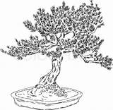 Bonsai Albero Flowerpot sketch template