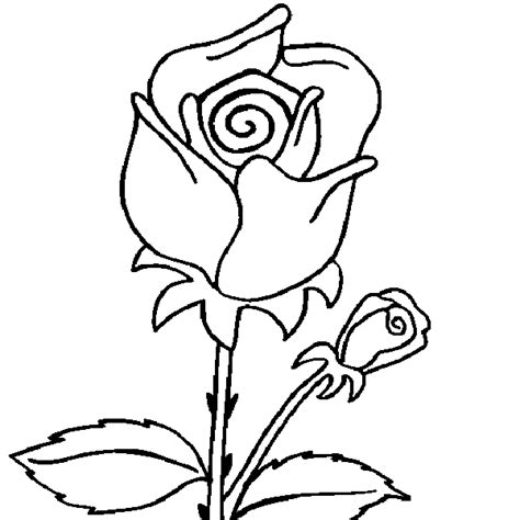rose bud coloring pages  coloring pages flower coloring pages