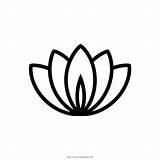 Lotus Flor Loto Colorear Fiore Desenho Blume Stylized Ultracoloringpages çiçekler sketch template