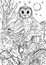 Owl Barn sketch template