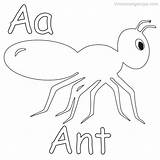 Coloring Coloringfolder Ants sketch template
