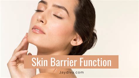 skin barrier   repair  damaged skin barrier