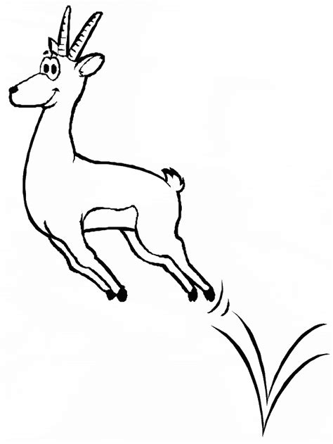 printable gazelle animals coloring pages coloringpagebookcom