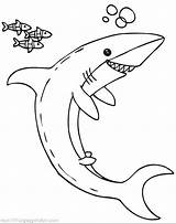 Coloring Shark Megalodon Thresher Pages Getdrawings Printable Getcolorings Color Colo sketch template