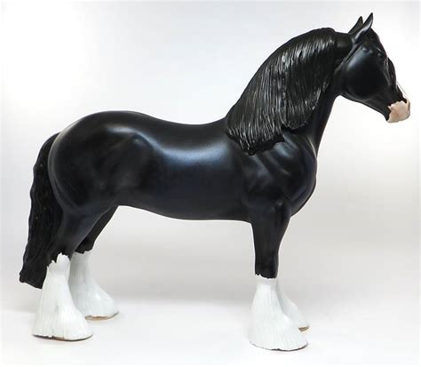 angus stone horse ref