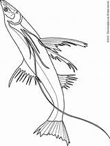 Fish Coloring Pages Kids Fun Printable Flying Picgifs Colouring Print Vissen Preschoolers Animals Animal Animated Getdrawings Drawing Printables sketch template