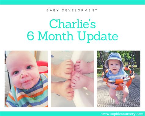 baby development   months  charlies monthly update sophies