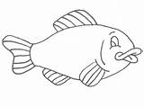 Fish Cut Template Coloring Popular sketch template