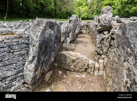 burial chamber parc le breos green cwm gower wales uk stock photo alamy