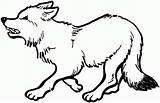 Coloring Pages Wolves Baby Popular sketch template