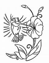 Hummingbird Cartoon Coloring Flower Drawing Pages Bird Humming Hummingbirds Printable Color Clipart Drawings Easy Line Cliparts Outline Sheets Getdrawings Kids sketch template