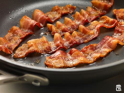bacon    siowfa science   world
