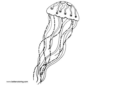 jellyfish coloring pages pictures  printable coloring pages