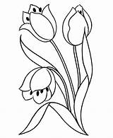 Printable Flower Coloring Flowers Pages Kids Color sketch template
