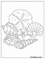 Shells Flowery sketch template