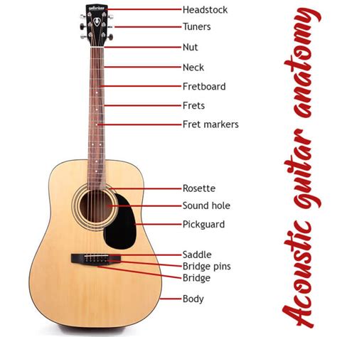 parts   acoustic guitar guitarianocom