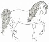 Coloring Pages Andalusian Friesian Horses Stallion Rearing Realistic Shire Color Deviantart Getcolorings Template sketch template