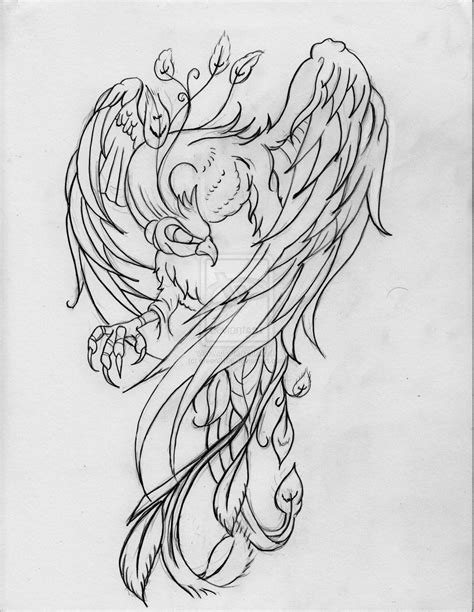 phoenix phoenix tattoo design bird drawings birds tattoo
