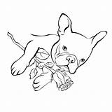 Bulldog French Coloring Pages Printable Color Getcolorings Kids Print Adults Rose Getdrawings sketch template