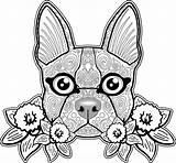 Bulldog Colouring Bestcoloringpagesforkids Adultes Colorear Psy Moins Reduction Chiens Meilleur Coloriages Coloringpages sketch template