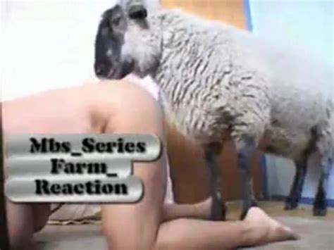 sheep fucking large breasted woman xxx femefun