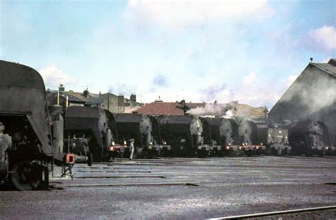 transpress nz sncf steam locos   roundhouse  st etienne