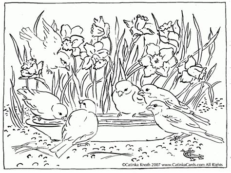 nature scenes coloring pages coloring home