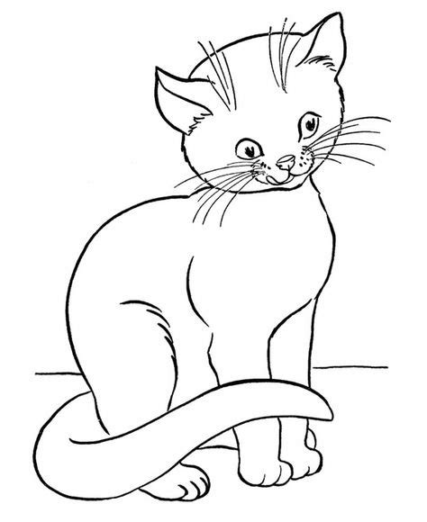printable cat coloring pages ideas  kids animal coloring pages