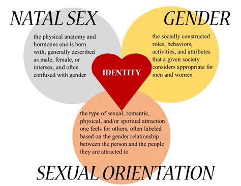 difference between sex and gender