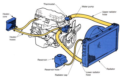 cooling system  wellwoods shop  horrors