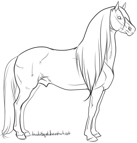 warmblood stallion lineart  amandaraquel horse art drawing horse