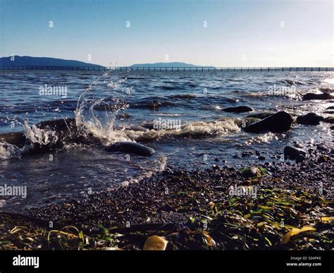 bellinghambay  res stock photography  images alamy