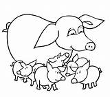 Coloring Porcos Baby Porco Sau Ausmalbild Ferkeln Animais Pigs Kolorowanki Porquinhos Schwein Sponsored sketch template