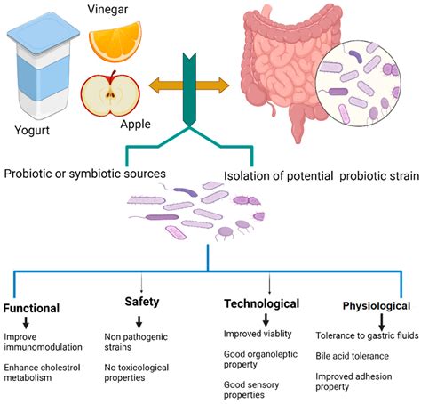 applied sciences  full text probiotics  functional foods