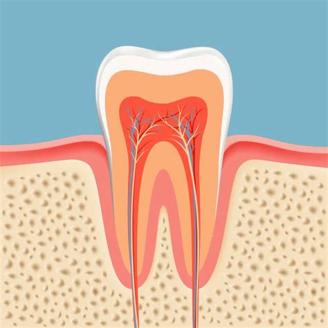 important   tooth root grand prairie tx