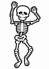 Skeleton Skelett Esqueleto Skeletons Ausmalbild Humano Brincadeiras Ossos Aos sketch template