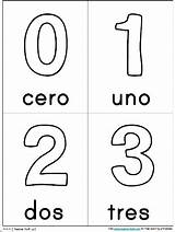 Spanish Numbers Colors Printables Cards Worksheets Coloring Uno Pages Preschool Number Printable Flashcards Kids Template Worksheet Learning Teacher Cinco Mayo sketch template