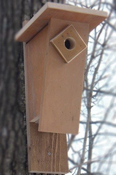 bird informer  bluebird houses