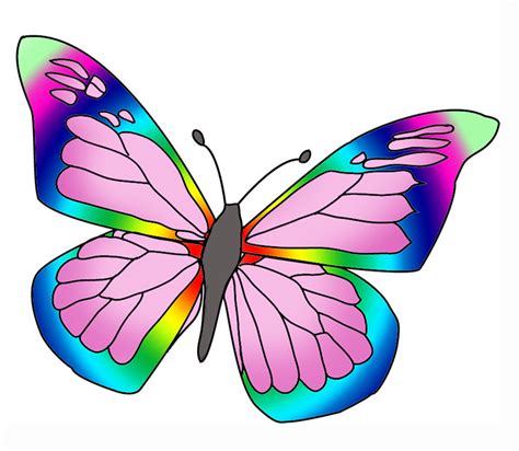butterflies drawing clipart