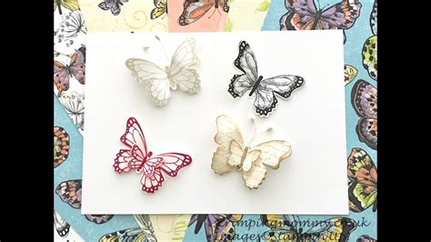 beautiful butterflies easily youtube
