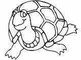 Coloring Turtle Shell Pages Getcolorings sketch template