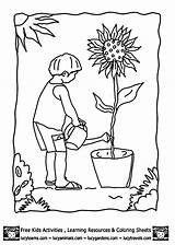 Kids Coloring Plants Clipart Pages Gardning Green Template Gardening Garden Library Clipground Insertion Codes sketch template