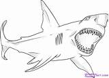 Megalodon Printable Tiburones Tiburon Easy Sharks Drawings Headed Megaladon Everfreecoloring sketch template