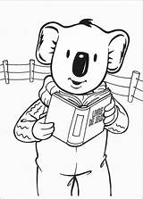 Koala Coloring Brothers Pages Printable Book Info Toddler Coloriage Last School Books Coloring2print sketch template