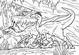 Dinozaury Kolorowanki Druku Velociraptor Dinozaur Kolorowanka Drukowania Planetadziecka sketch template