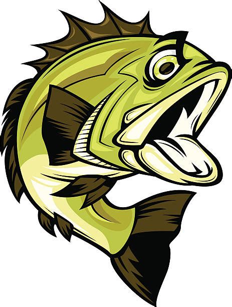 Sea Bass Illustrations Royalty Free Vector Graphics And Clip Art Istock