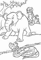 Jungle Coloring Pages Animal Animals Kids Safari Colouring Choose Board sketch template