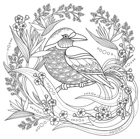 bird  floral elements birds adult coloring pages